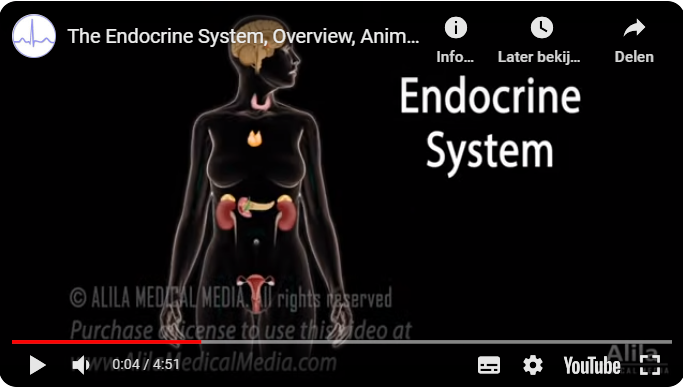 EndocrineSyst_overviewYoutube