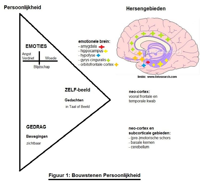 Persoonlijkheid3Pijlers