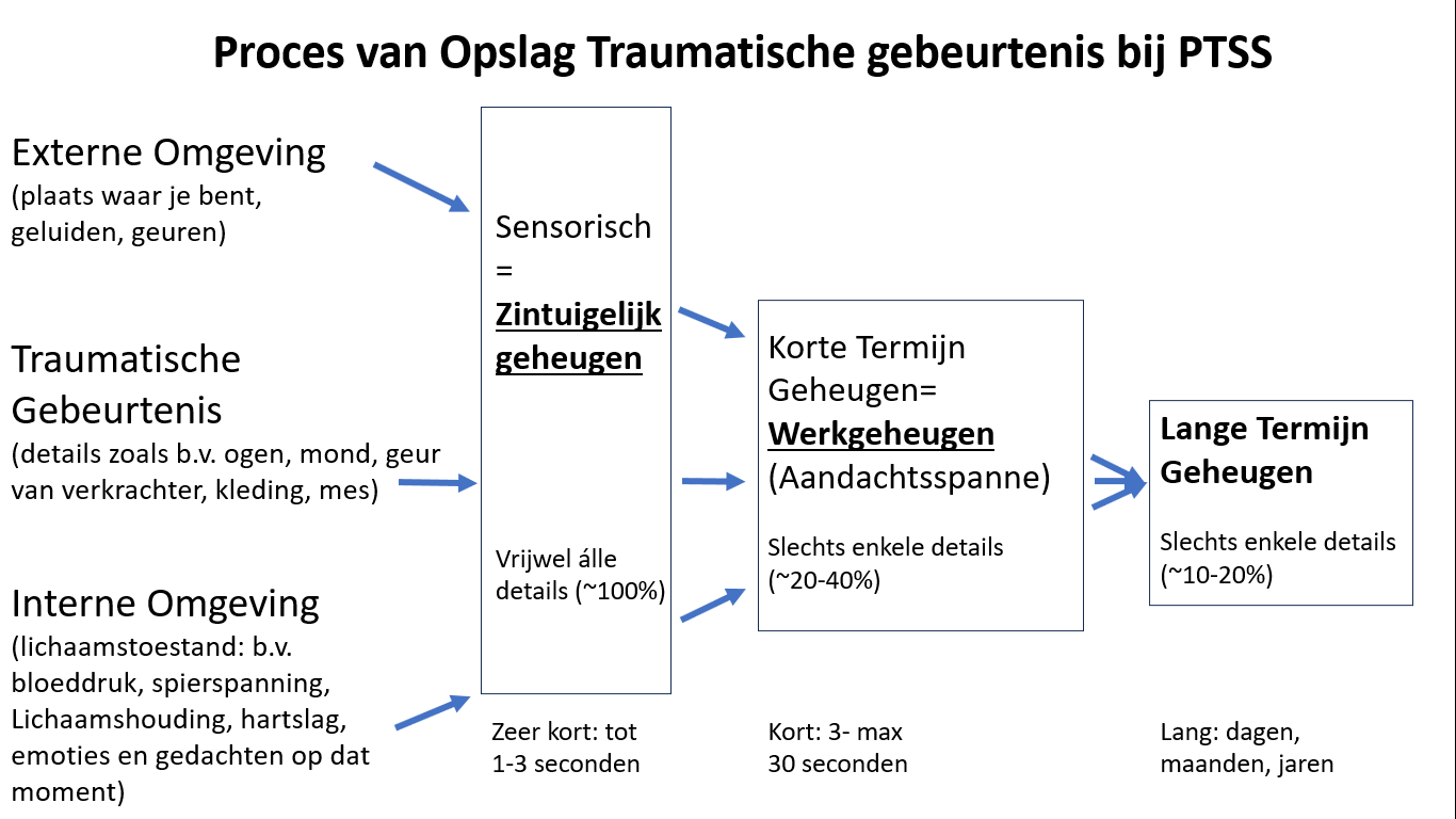 PTSS_OpslagInGeheugen PTSS_OpslagInGeheugen