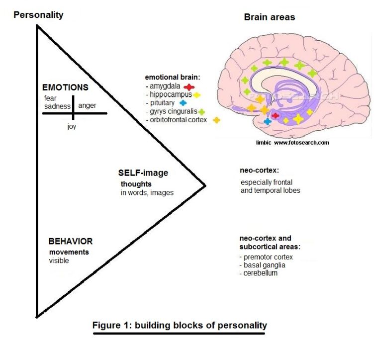 Personality: what is it exactly? Read here everything you want to know about personality, model, self-esteem