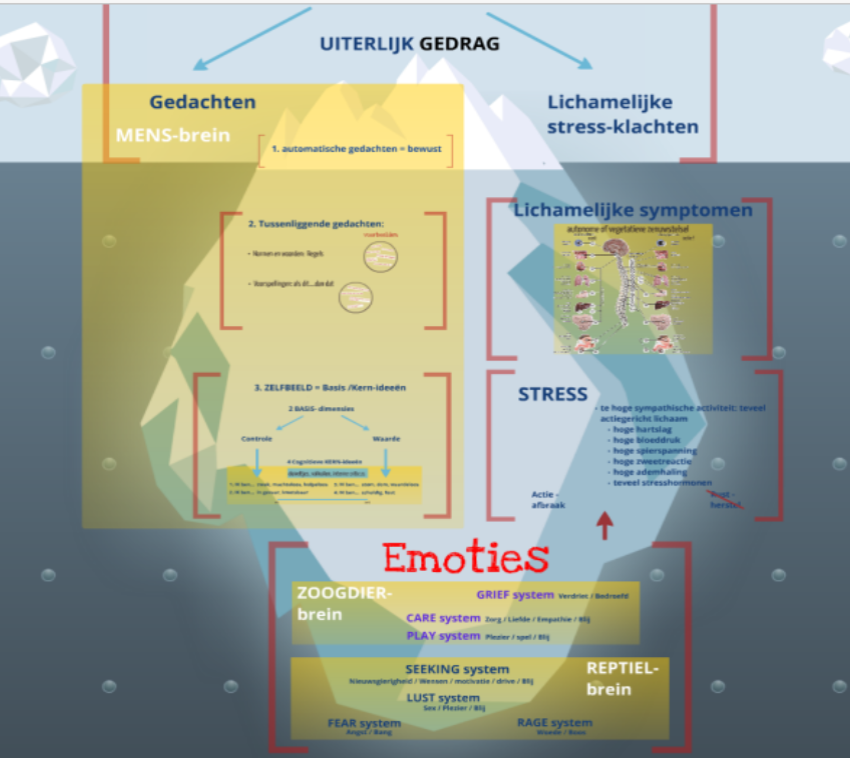 A personality model based on neuroscientific insights, explained in a simplified way