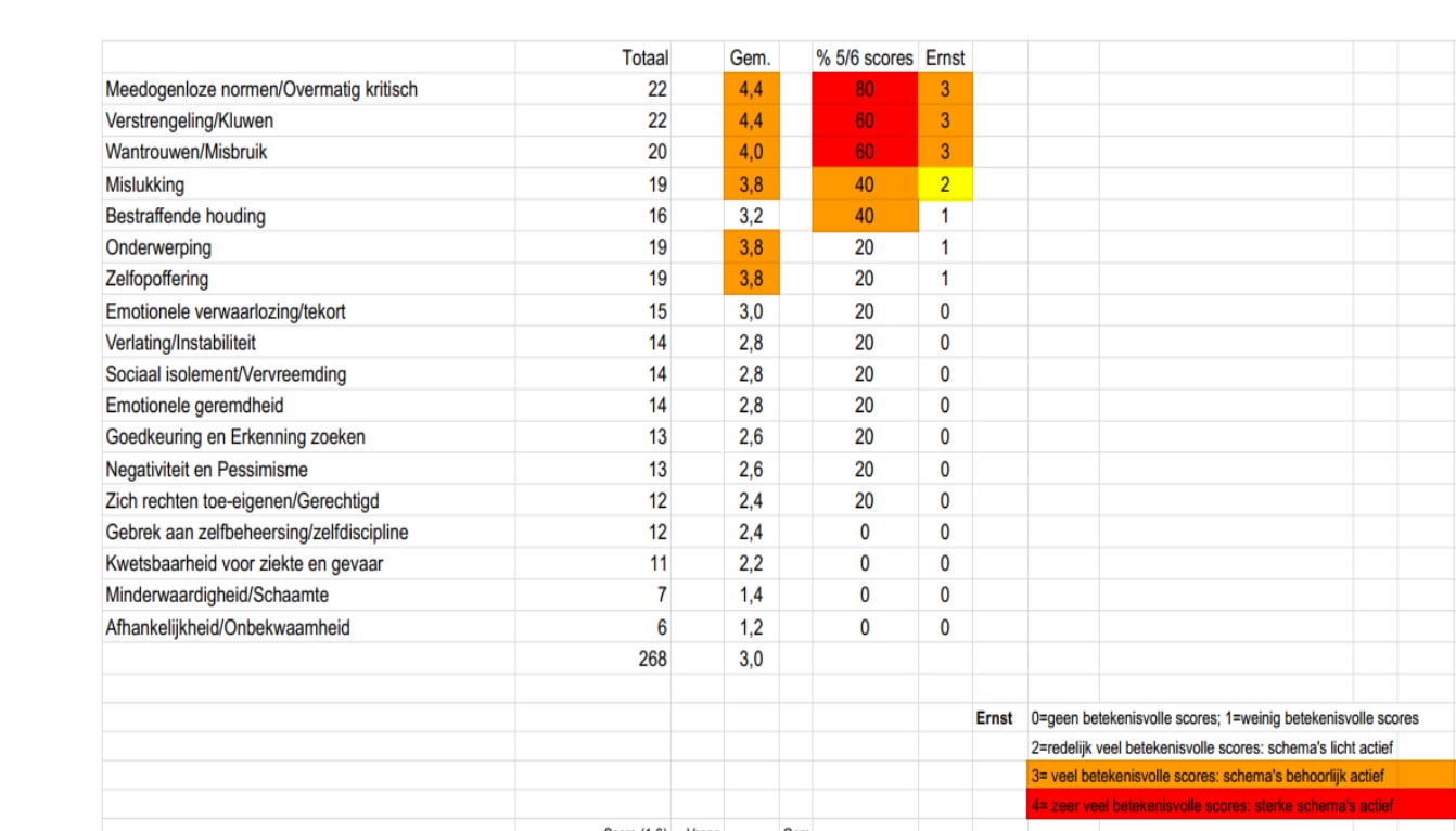 YSQ3 VB rapport YSQ3 VB rapport
