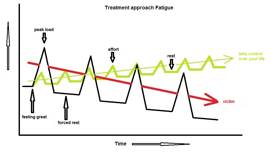 Read here to best treat your mental fatigue and even to reduce it 